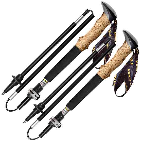 Палки трекинговые Vipole Approach Long Cork 130 DLX (S25 43) Вінниця