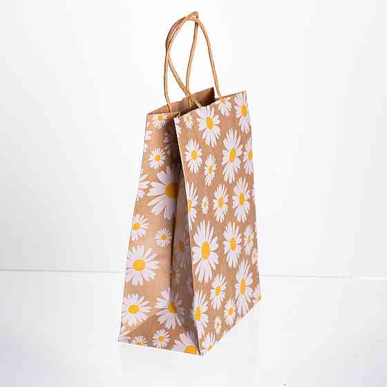 Набір подарункових крафтових пакетів з паперу 12 (шт.) гарні пакети для подарунків 15×8×21 (см) HP-10359-6W Київ