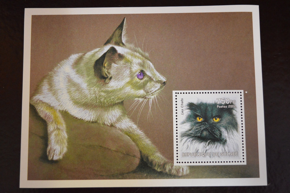 Гаяна. Фауна. 2002 год Полтава - изображение 1