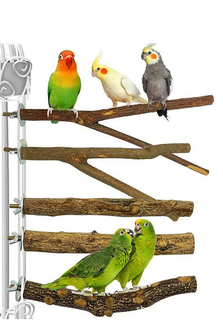 Сідла для папуг для птахів у клітці Xutong 6 шт Луцк - изображение 2