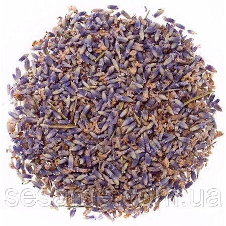 Лаванда цветки (пак/50 грамм) Харьков - изображение 1