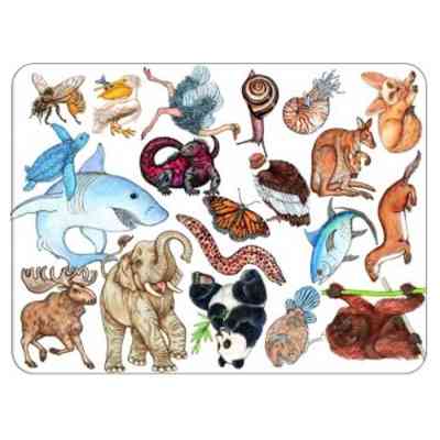 Настольная игра Djeco Занималка (Zanimatch) (DJ05153) Винница