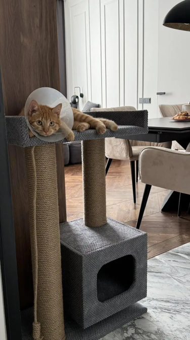 Когтеточка дряпка с домиком и лежанкой 85×55×35 см, комплекс для кота Киев - изображение 3