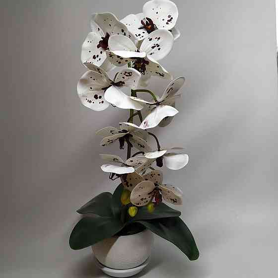 Штучна латексна орхідея VIP у білому керамічному кашпо на одну гілку біла Дніпро