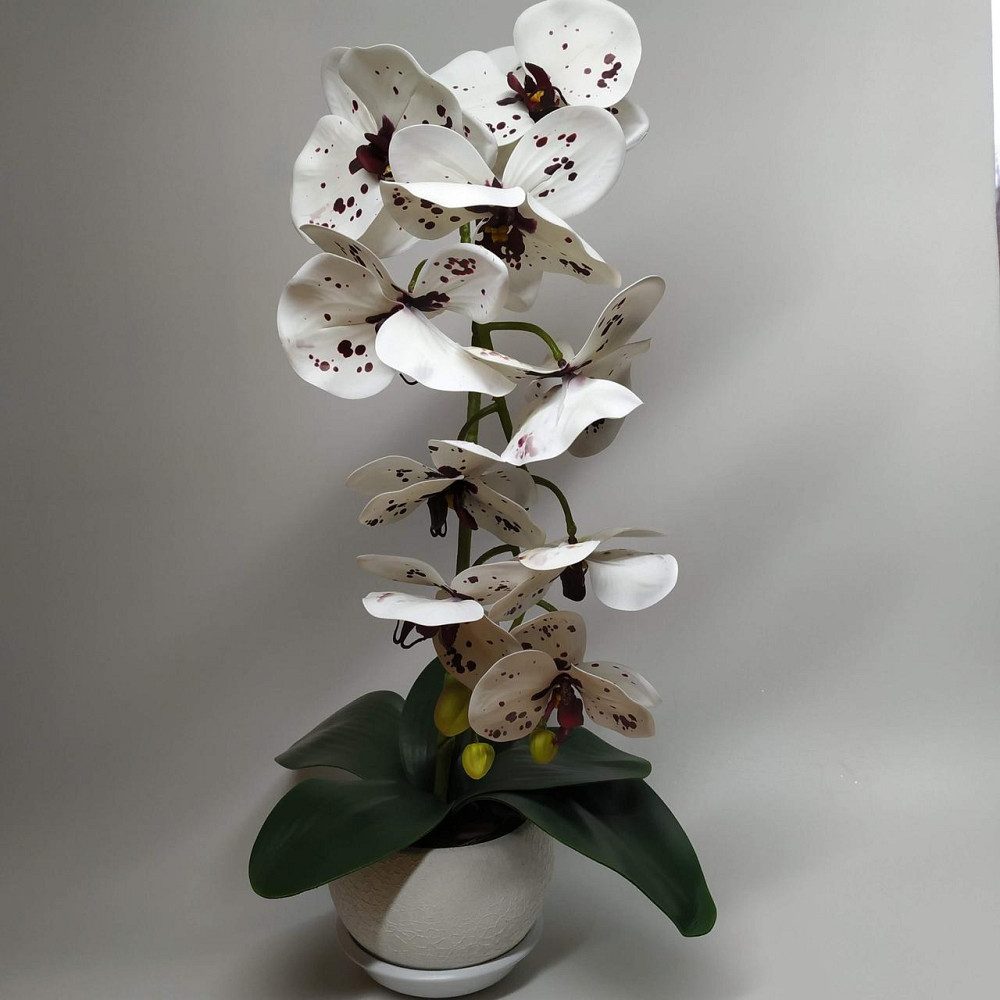 Штучна латексна орхідея VIP у білому керамічному кашпо на одну гілку біла Дніпро - фото 1