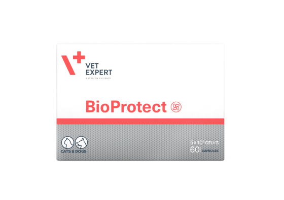 Vet Expert BioProtect (БиоПротект) для кошек и собак с нарушеной желудочно-кишечной микрофлорой 60 капсул Винница