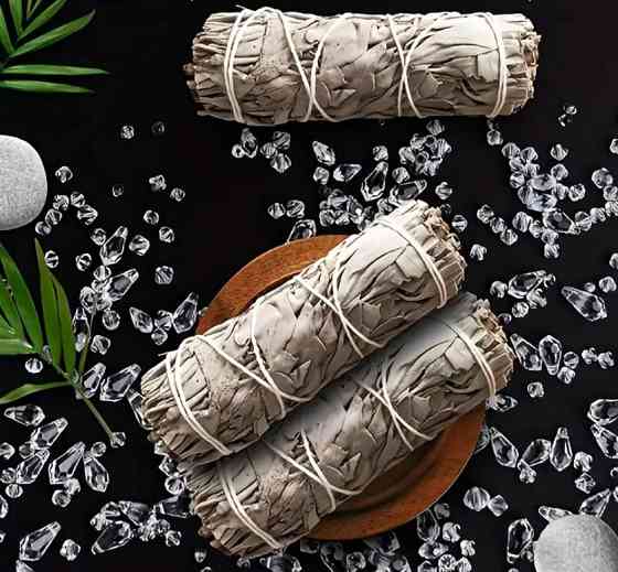 Калифорнийский белоснежный шалфей для окуривания (White Sage) пучок 10 см. Киев