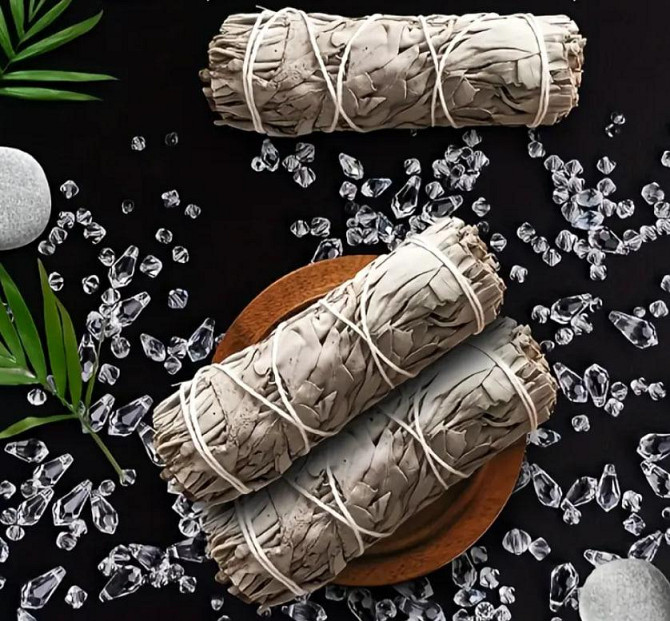 Калифорнийский белоснежный шалфей для окуривания (White Sage) пучок 10 см. Киев - изображение 1