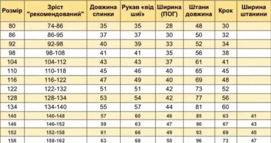 Чорний демісезонний дитячий костюм лео сірий (толстовка на змійці+штани) Кам'янець-Подільський - фото 2