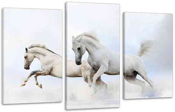 Модульная картина Лошади Art-129_3 100x150 см Киев