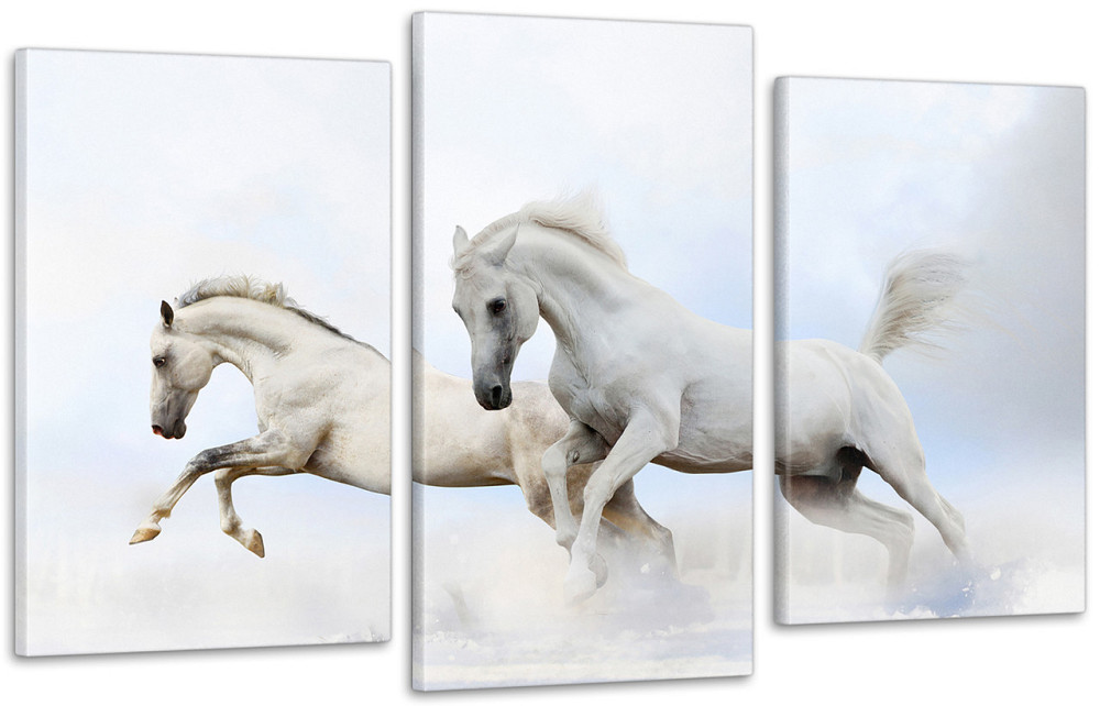 Модульная картина Лошади Art-129_3 100x150 см Киев - изображение 1