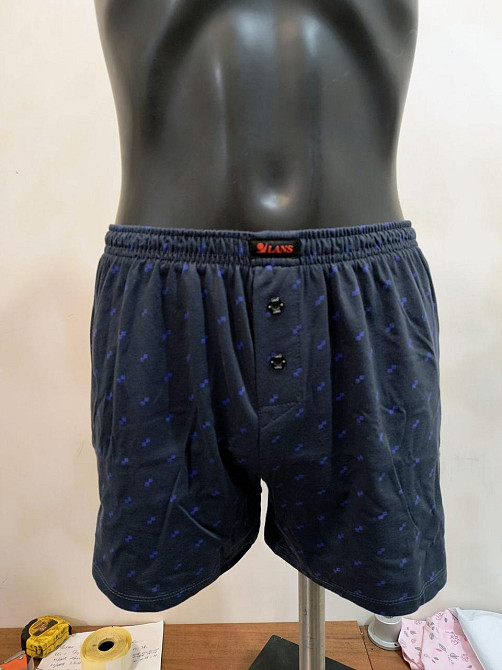 Труси чоловічі сімейні 100% бавовна Lans 01/044 XL Київ - фото 5