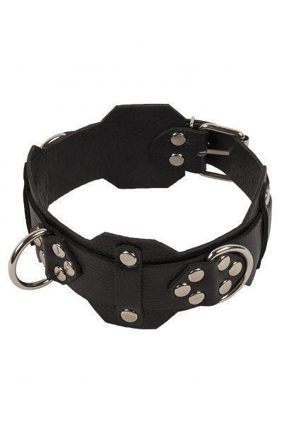 Ошейник VIP Leather Collar, Black Sex Aura Киев - изображение 1