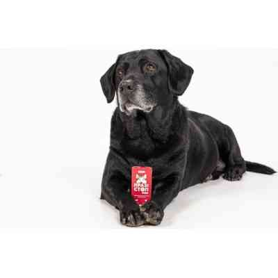 Таблетки для тварин ProVET Празістоп Ультра для собак 2 табл (антигельминтик) (4823082425037) Вінниця