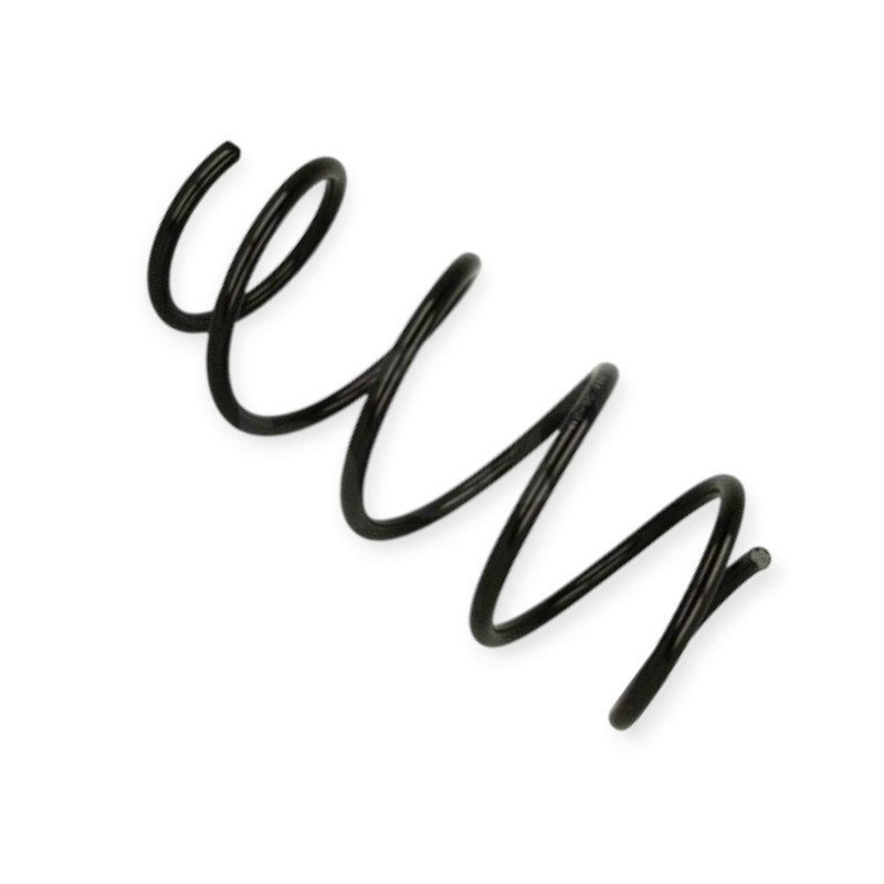 Пружина Renault Megane III 1.2TCe, 1.4TCe, 1.5dCi, 1.6 16V, BiFuel 08- передняя Мукачево - изображение 1