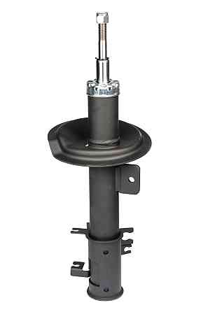 Амортизатор передний левый Raiso (Швеция) Fiat Ulysse, Фиат Улиси 02- #RS310763 UARLBRC22 Ковель