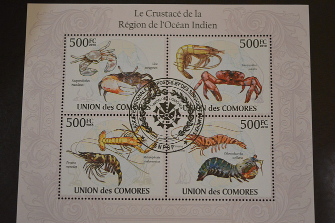 Коморы. Марки. Фауна. Блок. 2009 год (В-5) Полтава - изображение 1