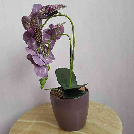 Штучна латексна міні орхідея в бордовому пластиковому кашпо на дві гілки бордова Дніпро