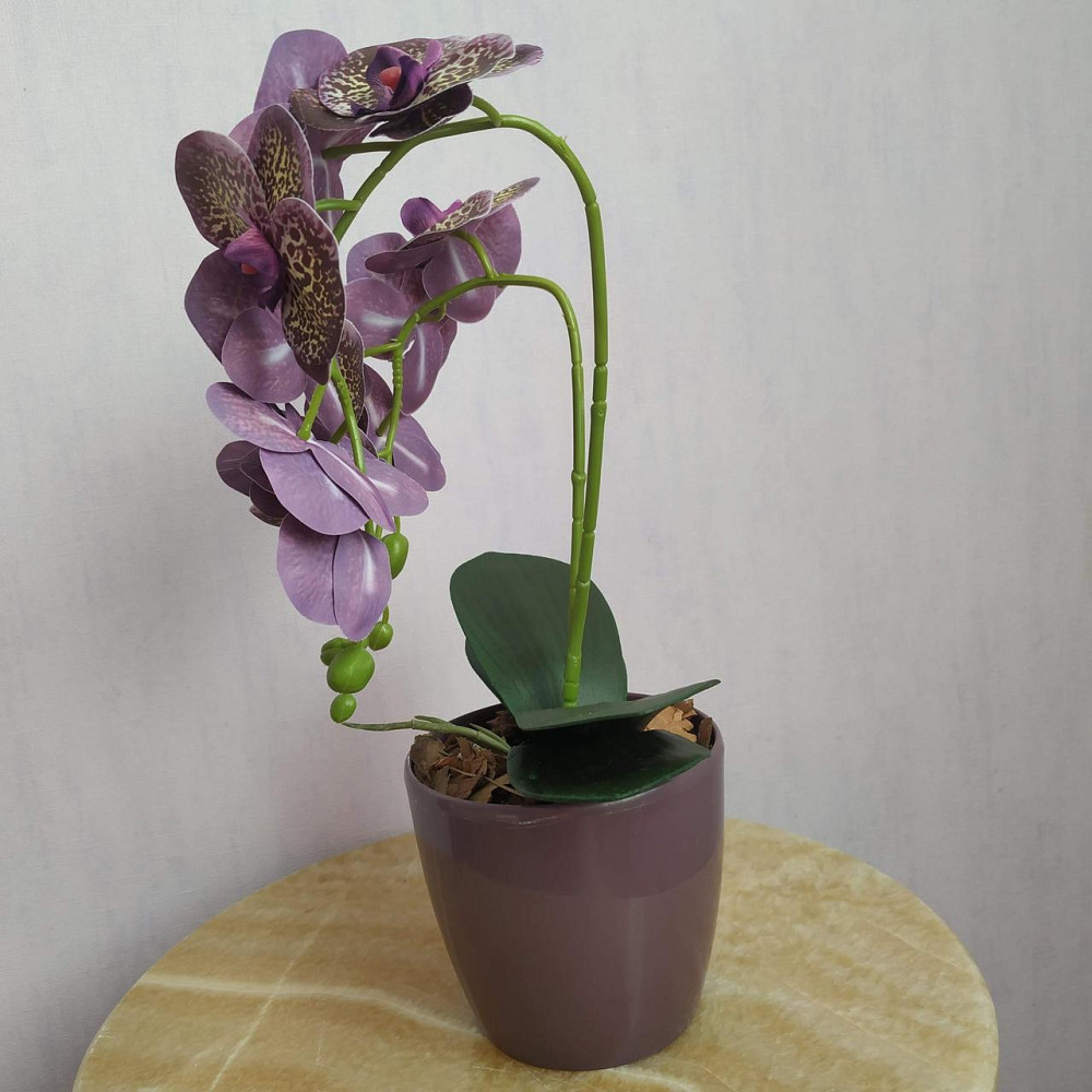 Штучна латексна міні орхідея в бордовому пластиковому кашпо на дві гілки бордова Дніпро - фото 2