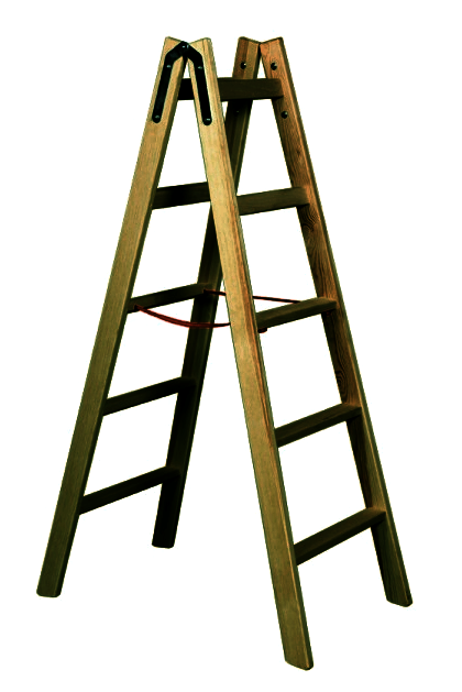 Стремянка "Ферно" мускат Миколаїв - фото 1