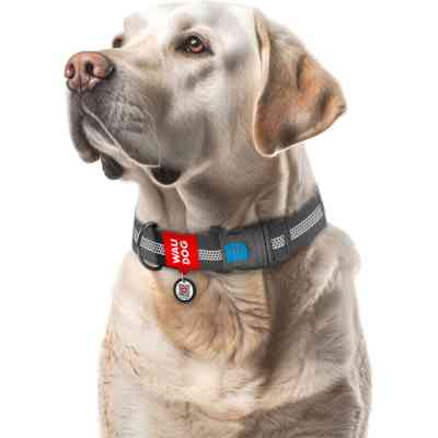 Ошейник для животных WAUDOG Waterproof пластиковый фастекс XXL Ш 40 мм Д 46-70 см серый (251011) Винница