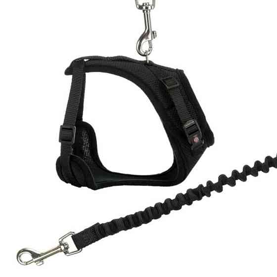 Шлея Trixie для котів Y-Harness бірюзовий, розмір 39-60 см/10мм, 1 м Київ