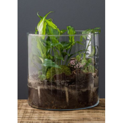 Ваза Ecomo Cylinder 19 x 19 см (35096) Вінниця - фото 10