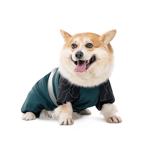 Комбинезон Den SМ для собак Киев - изображение 3