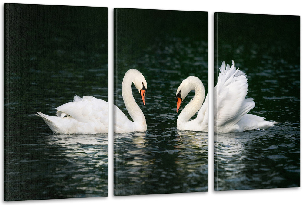 Модульная картина Пара Лебеди Аrt-182_3А1 70x130 см Киев - изображение 1