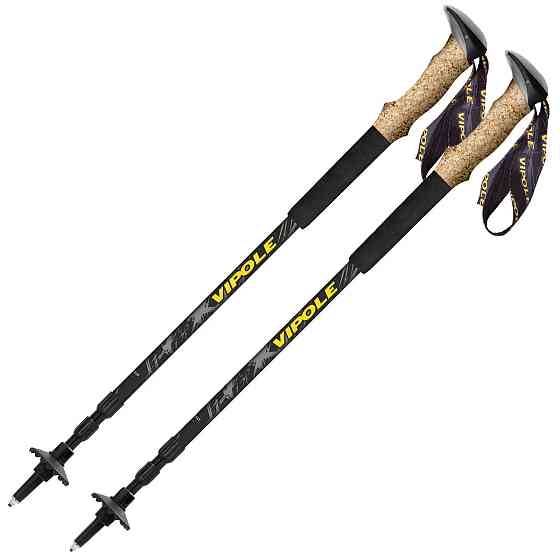 Палки трекинговые Vipole Discovery Cork DLX (S25 12) Вінниця