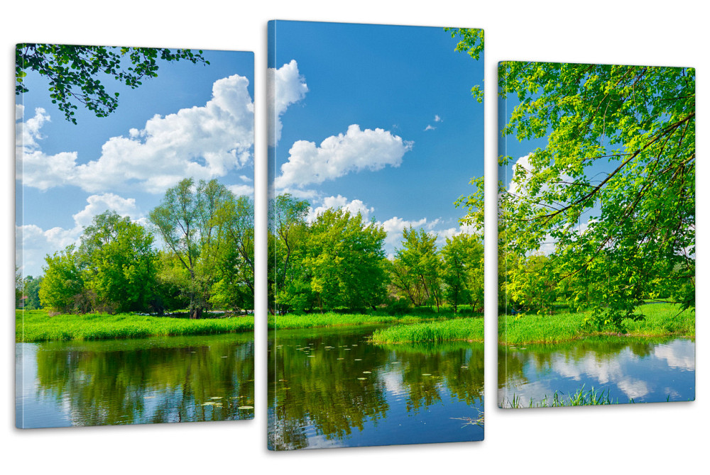 Модульная картина в гостиную / спальню  Природа  Art-661_3 70x130 см Киев - изображение 1