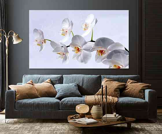 Картина холст в гостиную / спальню  Орхідея    MLP_162 80x120 см Киев
