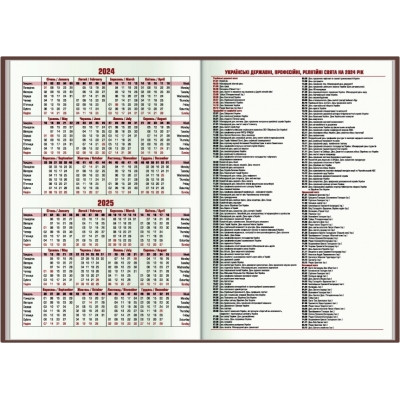 Тижневик Economix датований 2024, А5 (E21836) Вінниця - фото 4