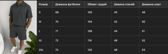 Мужской летний костюм футболка поло с шортами в рубчик, мужской костюм двойка на лето Графит L Одесса