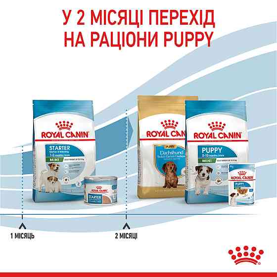 Корм для новорожденных собак ROYAL CANIN MINI STARTER 8 кг Киев