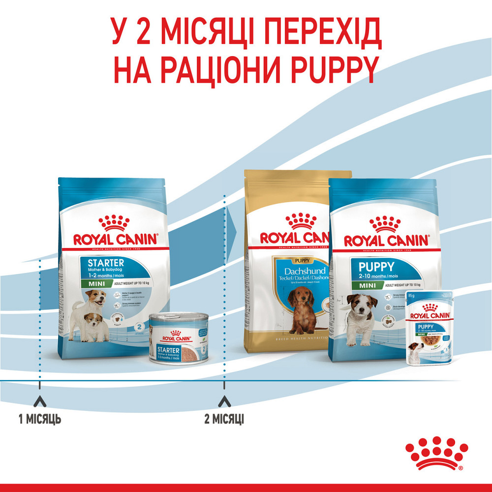 Корм для новонароджених собак ROYAL CANIN MINI STARTER 8 кг Київ - фото 6