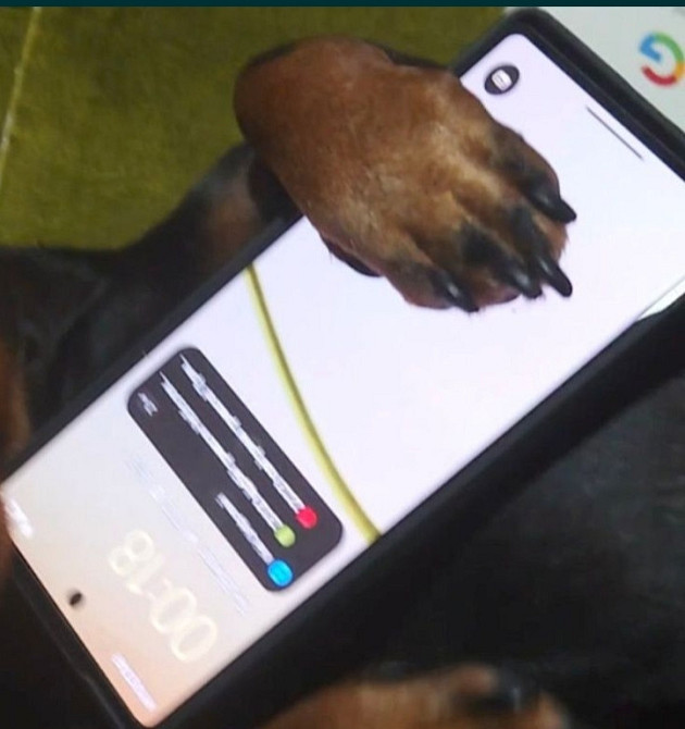 Телефон Google Pixel 6a, 6/128Gb. Новий Київ - фото 1