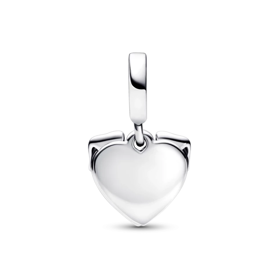 Серебряный шарм Пандора 