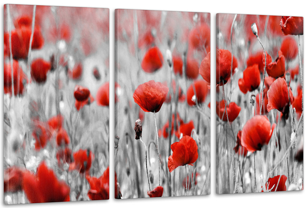 Модульна картина Квіти Маки Аrt-137_3А Київ - фото 1