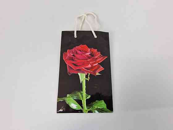 Пакет паперовий подарунковий малий 11/18/5 (арт М005) (12 шт.) Харків