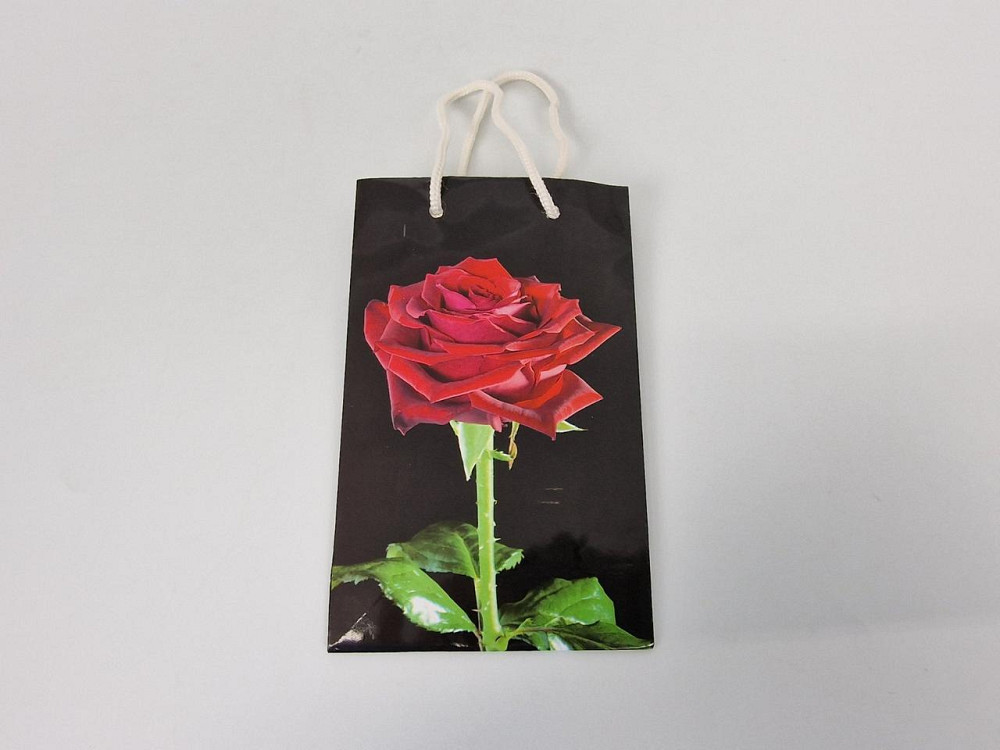 Пакет паперовий подарунковий малий 11/18/5 (арт М005) (12 шт.) Харків - фото 2