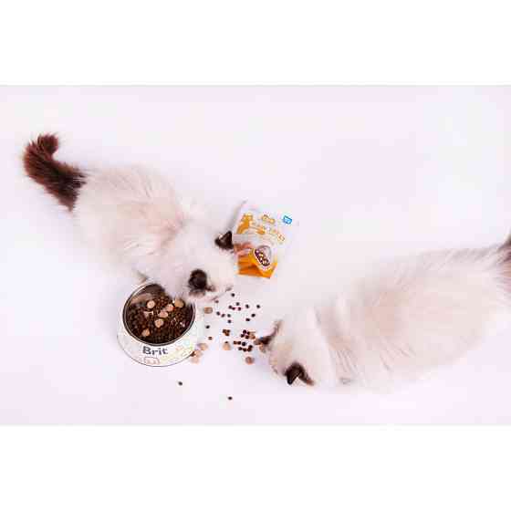 Лакомства для кошек Brit Raw Treat Hair & Skin Freeze-dried с рыбой и индейкой, 40 г Винница