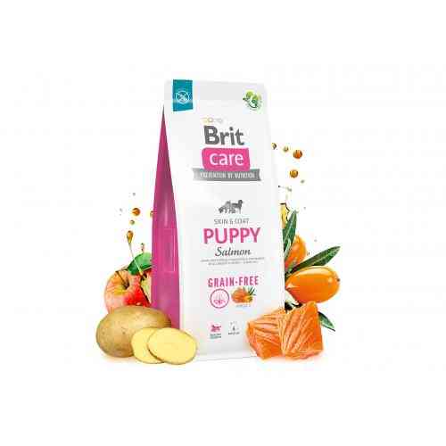 Корм сухий Brit Care Dog Grain-free Puppy для цуценят беззерновий з лососем 1 кг Киев