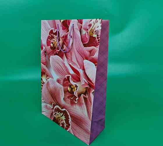 Пакет паперовий гігант вертикальний (30х42х12) (артGV-094) (12 шт) Харків