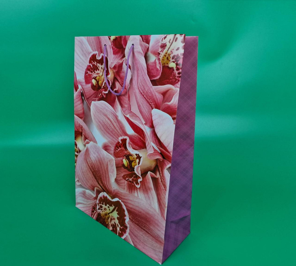 Пакет бумажный гигант вертиркальный (30х42х12)(артGV-094) (12 шт) Харьков - изображение 1