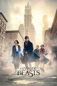 Постер "Fantastic Beasts (New York Streets)" (PP 34026@) 61 x 91,5 см Рівне