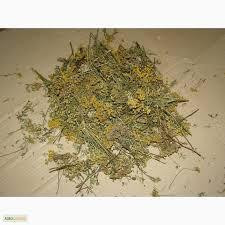 Пижмо звичайне (Пижма обыкновенная) 100г master sem Киев - изображение 2