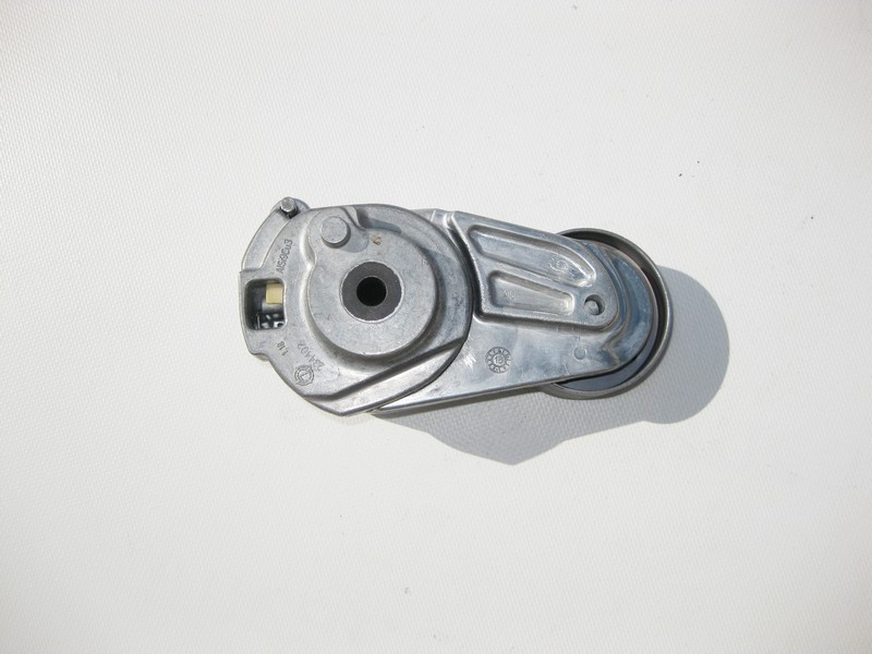 INA  534018310 Новий натягувач ременя Ina Одеса - фото 4