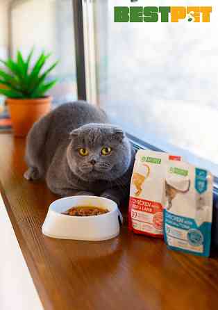Nature’s Protection Adult cats Weight Control Chicken with Salmon & Tuna Вологий корм для котів для контролю ваги з куркою, лососем і тунцем, 100  Київ