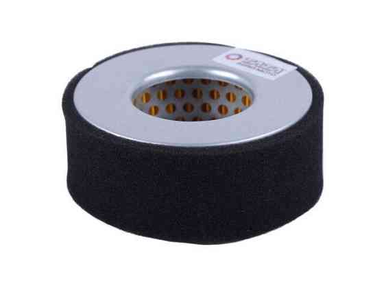 Фильтрующий элемент воздушного фильтра (бумажный) - 170D Мукачево